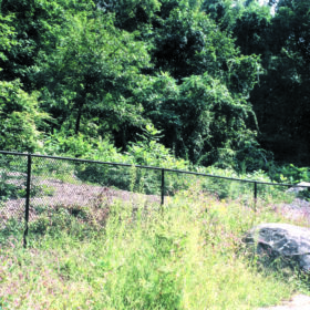 Fence Replacement Southington CT