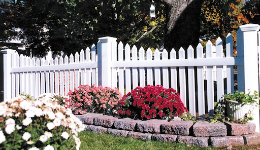 Beautiful flowers in front of fence